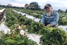 Nông dân Kdang thi đua sản xuất kinh doanh giỏi