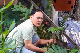 Thầy giáo nhân giống thành công loài dược liệu quý