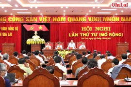 Hội nghị Ban Chấp hành Đảng bộ tỉnh Gia Lai lần thứ tư (mở rộng)