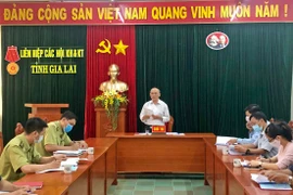 Đến năm 2025, nâng độ che phủ rừng lên 47,75%