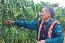 Gương sáng biên cương: Già làng A Lào ở ngã ba Đông Dương