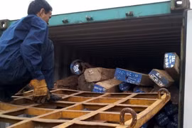 Viện Kiểm sát nhân dân tối cao vào cuộc điều tra kỳ án "buôn lậu gỗ trắc"