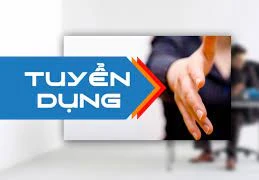 Tuyển dụng lao động Việt Nam vào các vị trí dự kiến tuyển người lao động nước ngoài làm việc tại Nhà máy Điện gió Ia Le 1