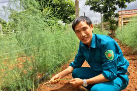 Chư Prông hỗ trợ xây dựng liên kết sản xuất và tiêu thụ nông sản