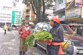 Những "cửa hàng rau di động"