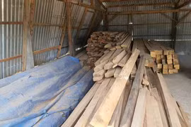 Kbang: Đưa hơn 18 m3 gỗ về Công an huyện để phục vụ điều tra