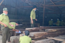 Phát hiện hơn 25 m3 gỗ tại Kbang: Nhiều tình tiết bất thường