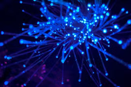 Nhật Bản phá vỡ kỷ lục thế giới về tốc độ truyền dữ liệu