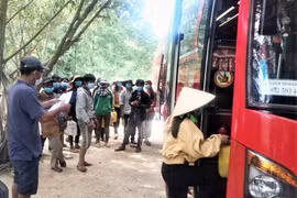 Cưu mang nơi tâm dịch