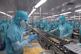 Bằng mọi giá lo miếng ăn, sự an toàn cho công nhân mất việc