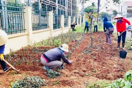 Pleiku: Hơn 264 mô hình, phong trào phụ nữ bảo vệ môi trường