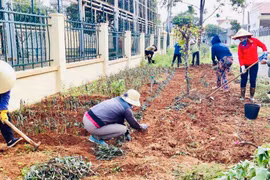 Pleiku: Hơn 264 mô hình, phong trào phụ nữ bảo vệ môi trường