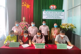 Gia Lai: Ký kết hợp đồng tín dụng, giải ngân cho 4 doanh nghiệp vay vốn