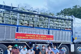 Gia Lai: Trên 268 triệu đồng và 27 tấn rau củ quả ủng hộ phòng-chống dịch Covid-19