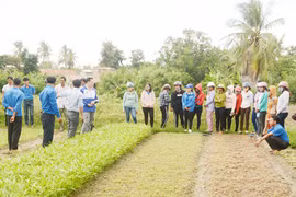 Tuổi trẻ Gia Lai chung tay xây dựng nông thôn mới