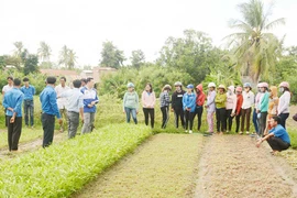 Tuổi trẻ Gia Lai chung tay xây dựng nông thôn mới
