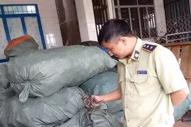 Mạnh tay xử lý vi phạm kinh doanh mỹ phẩm, dược liệu