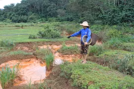 Đắk Nông: Dân lo lắng vì nước ở suối biến thành "màu đỏ" bất thường