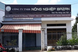 Công ty 'biến mất', hàng chục ngàn tấn khoai lang Nhật thối ngoài đồng