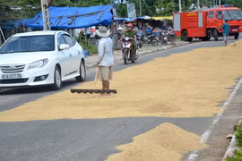 Phơi lúa trước cổng Bệnh viện Đa khoa Ayun Pa cản trở giao thông