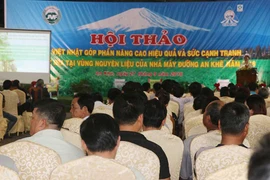 Nâng cao kỹ thuật canh tác cho người trồng mía