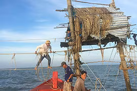 Những "tổ chim" bên đáy hàng khơi