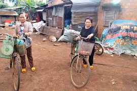 Nước mắt người mẹ ung thư