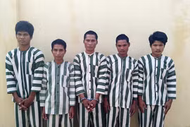 Khởi tố nhóm đối tượng trộm bò ở Ia Pa