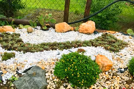 Người phụ nữ trồng sen đá hình bản đồ Việt Nam ở trời Tây