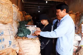 Chuyển hàng trăm tấn khoai Trung Quốc ra khỏi chợ nông sản Đà Lạt