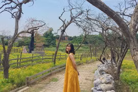 Bê tỉ"con ảnh sống ảo"con đường HQ đẹp như mơ ngay ngoại thành HN