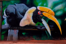 Con đường bích họa dài một km hút khách ở Huế