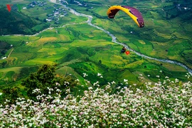 Ngắm mùa vàng tại Mù Cang Chải miễn phí dưới góc nhìn của Đại bàng