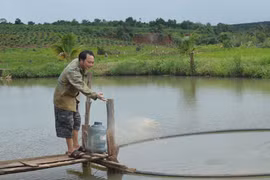 Cựu chiến binh Ia Chía thi đua sản xuất, kinh doanh giỏi