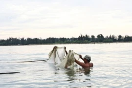 Đua nhau săn con cá "nhỏ nhưng độc" ở đầm Chuồn