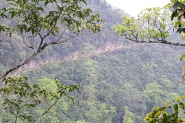 Quản Bạ (HàGiang): Sự "cô đơn" lạnh người của côgiáo cắm bản giữa đại ngàn