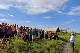 Vận động hội viên phụ nữ tham gia "cánh đồng lớn"