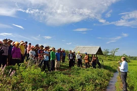 Vận động hội viên phụ nữ tham gia "cánh đồng lớn"