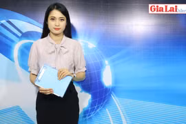 Đức Long Gia Lai: Hơn 27 tỷ đồng nâng cấp xe buýt