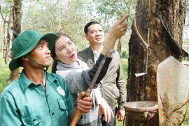 Cao su Chư Sê: Chú trọng phát triển đảng viên trong công nhân