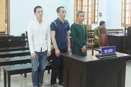 Gia Lai: Nhóm "siêu trộm" lãnh án