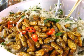 Món ăn thuốc từ nhộng tằm giúp bổ thận, tăng sinh lực cho nam giới