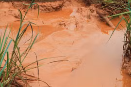 Alumin Nhân Cơ Đắk Nông: Cần điều chỉnh quy hoạch để dân an tâm