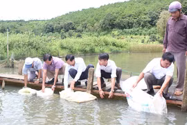 Thả trên 24 ngàn con cá giống ra hồ tự nhiên