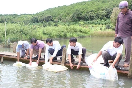 Thả trên 24 ngàn con cá giống ra hồ tự nhiên