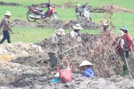 Thương lái "hét giá" đá đen, dân đổ xô đào bới