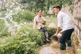 Cuộc sống vô thường