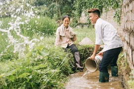 Cuộc sống vô thường