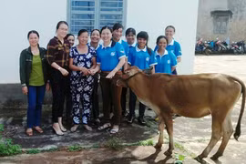 Phụ nữ Chư Sê giúp nhau phát triển kinh tế