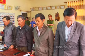 Đắk Lắk: Để mất rừng gây thiệt hại gần 30 tỷ đồng, giám đốc và 8 thuộc cấp bị truy tố